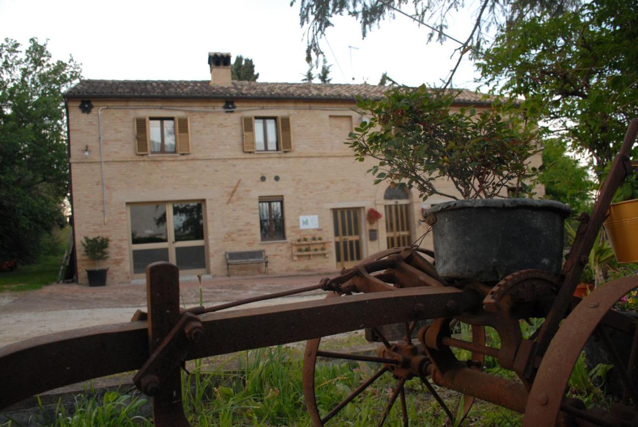 Fattoria Nonno Neno B&B Appignano  Exterior foto